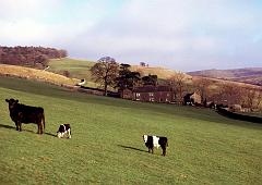 1975 UK Yorkshire Dales 011